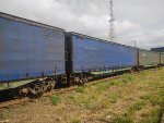 FIBR FLS-054271-1